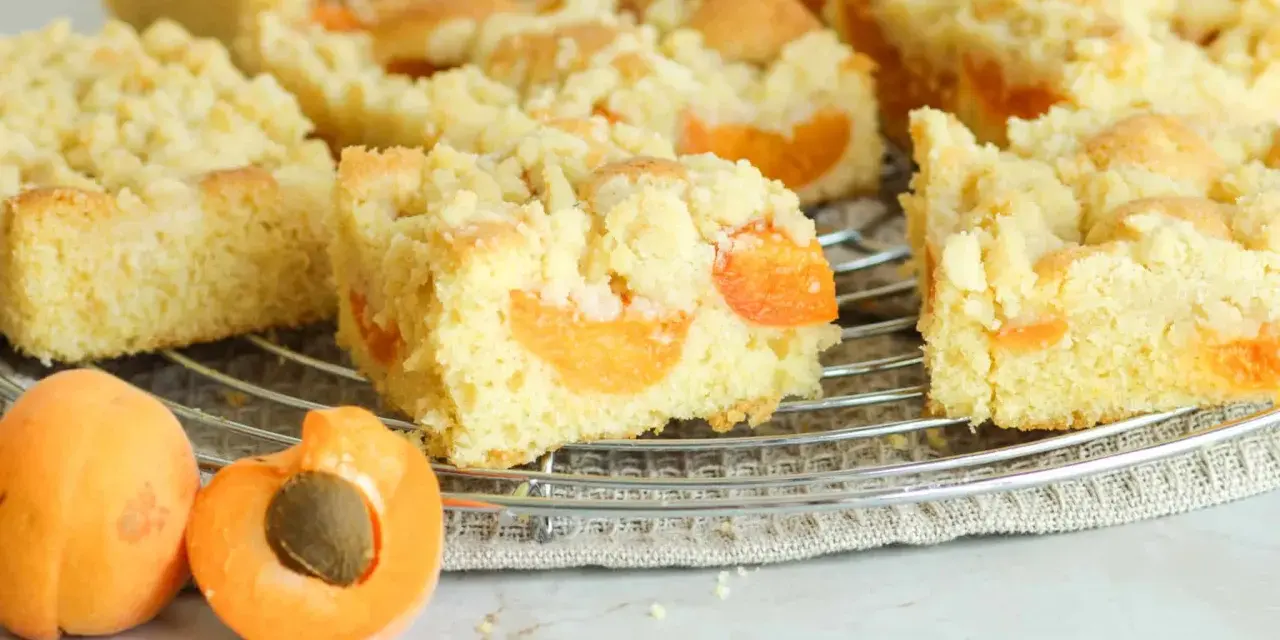Saftiger aprikosenkuchen mit Streuseln, frisch gebacken und auf einem Gitterrost abgekühlt. Daneben liegen zwei saftige Aprikosen.