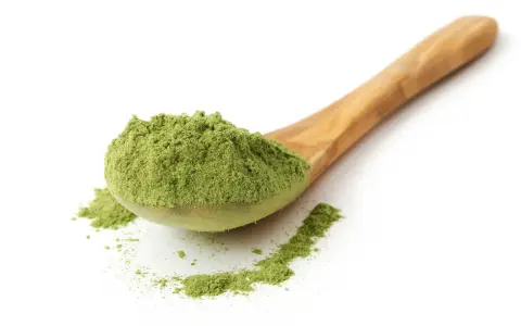 Ein Holzlöffel voller feinem, grünem Pulver, ideal für Schabzigerklee Rezepte.