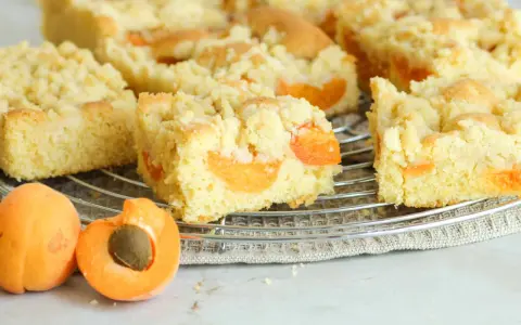 Saftiger aprikosenkuchen mit Streuseln, frisch gebacken und auf einem Gitterrost abgekühlt. Daneben liegen zwei saftige Aprikosen.