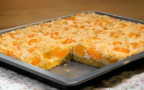 Ein saftiger Quark Streuselkuchen mit Aprikosen, frisch aus dem Ofen.