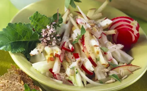 Frischer Kohlrabi Salat mit Apfel, Radieschen und Kräutern, garniert mit Sonnenblumenkernen. Ein leichter Genuss!