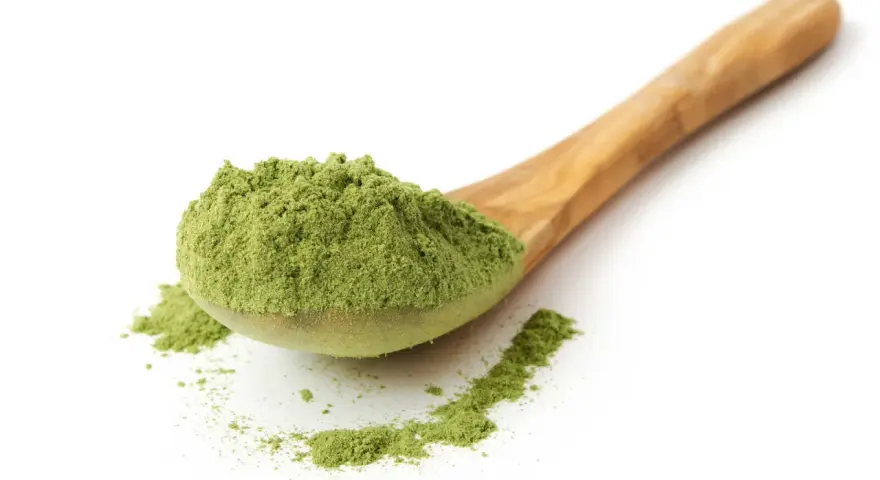 Ein Holzlöffel voller feinem, grünem Pulver, ideal für Schabzigerklee Rezepte.